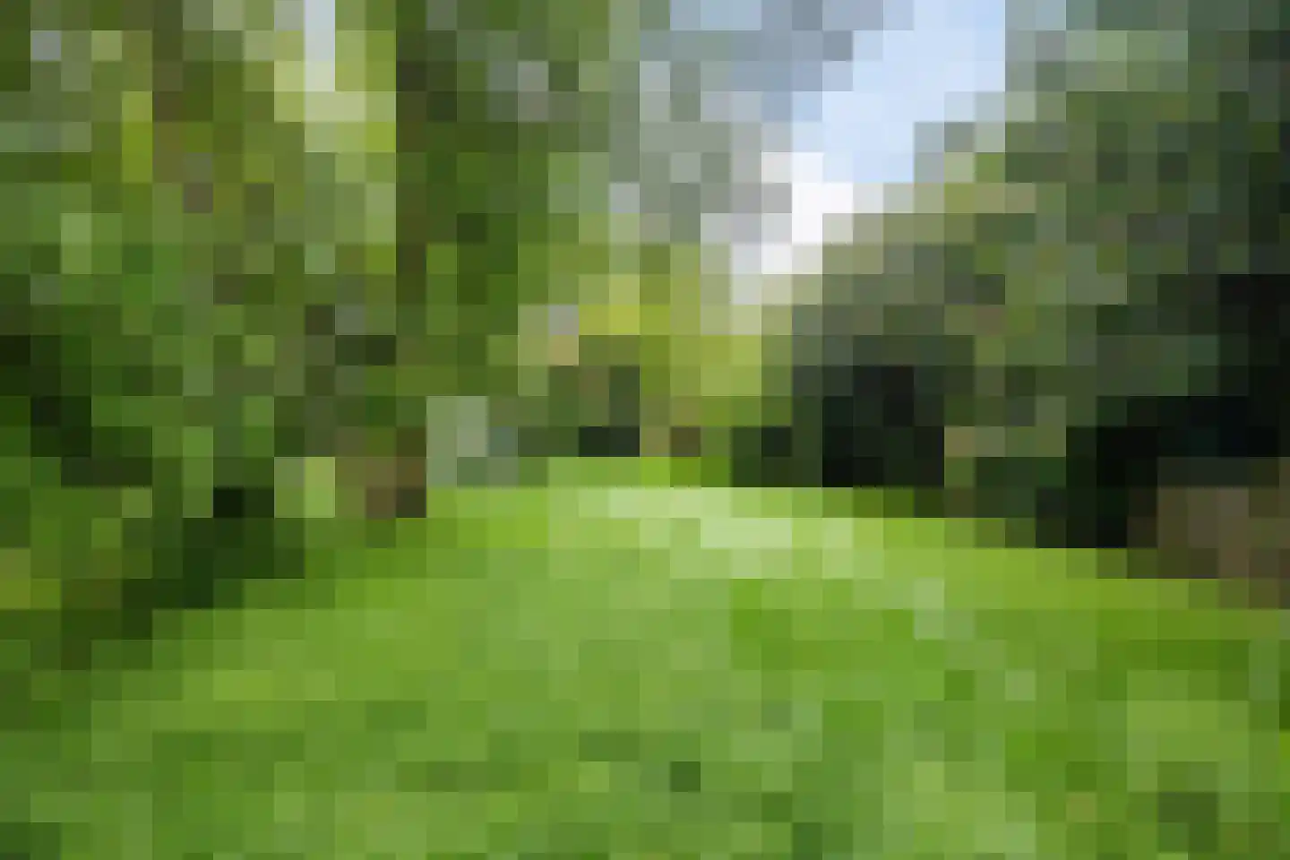 Zuiderdiep 353 2e Exloërmond thumbnail 41