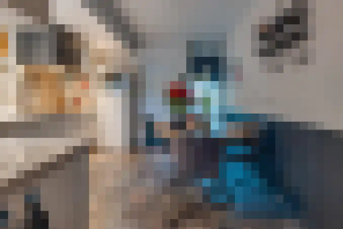 Zuiderdiep 36 2e Exloërmond thumbnail 14