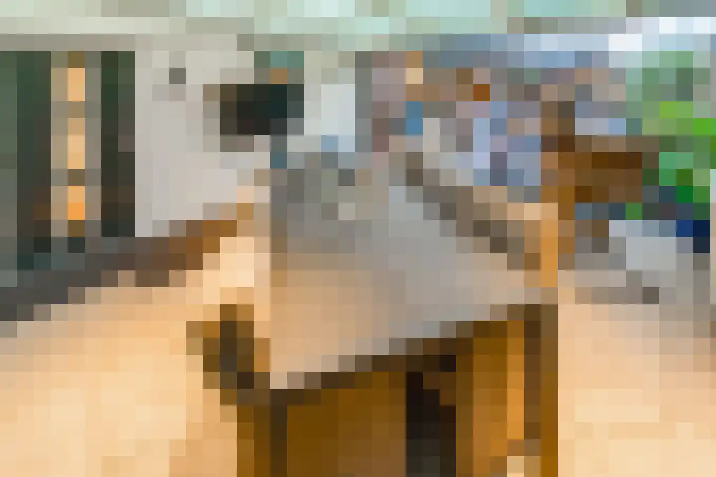 Zuiderdiep 36 2e Exloërmond thumbnail 19