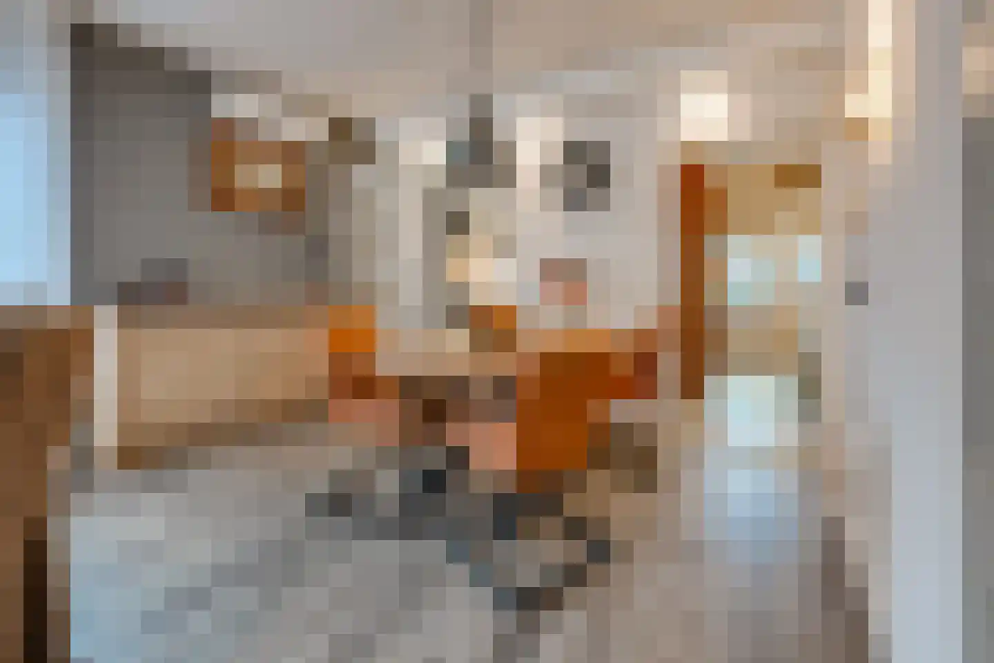 Zuiderdiep 36 2e Exloërmond thumbnail 8