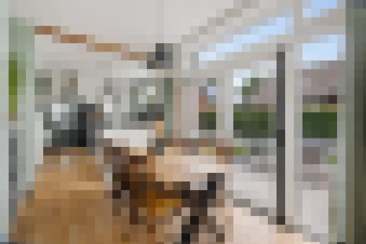 Zuiderdiep 36 Valthermond thumbnail 10