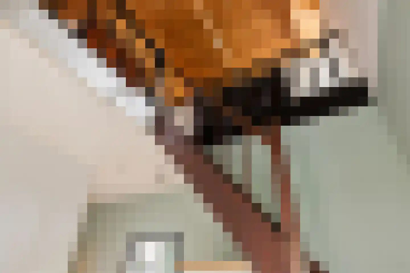 Zuiderdiep 36 Valthermond thumbnail 19