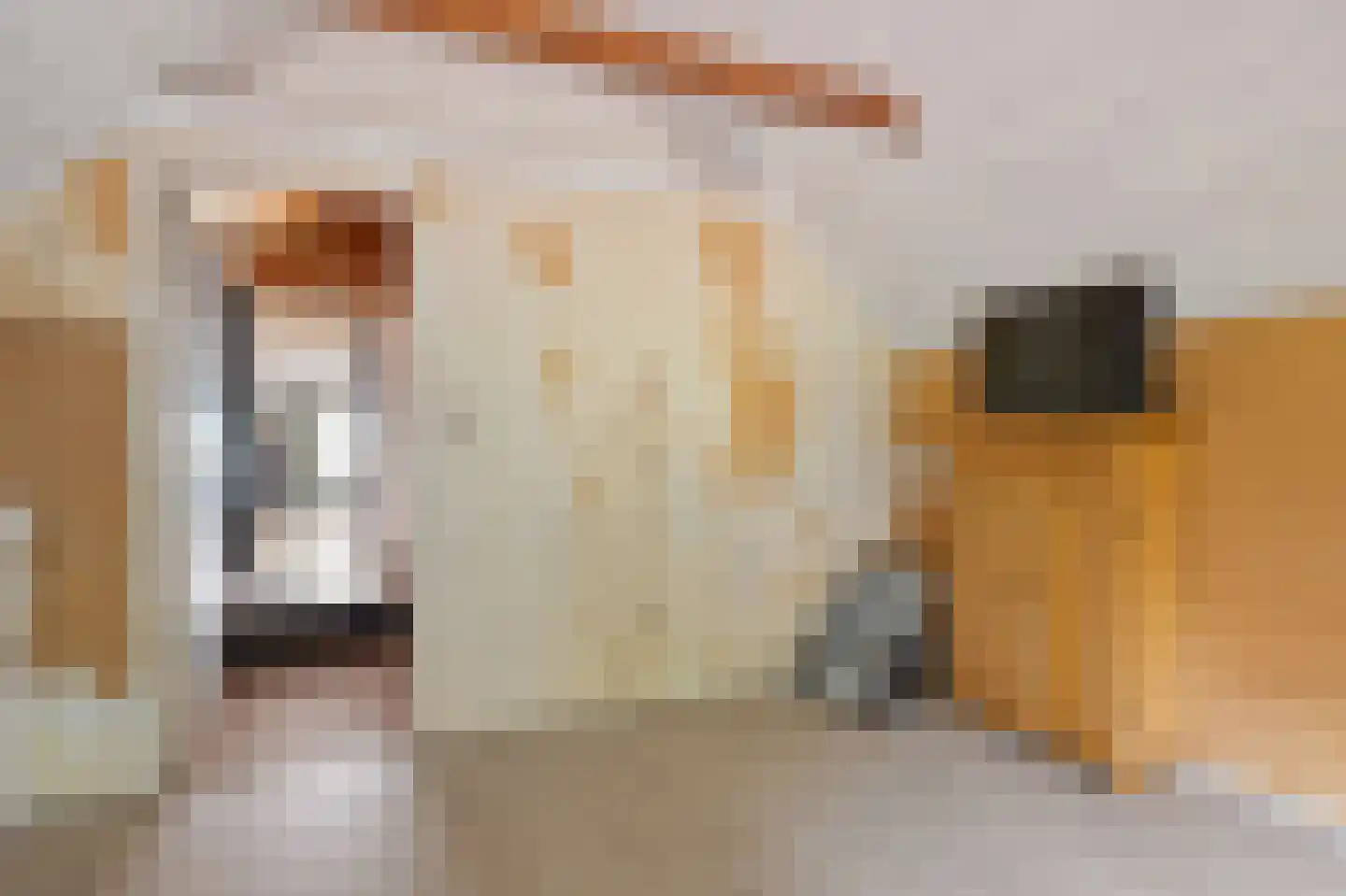 Zuiderdiep 36 Valthermond thumbnail 25