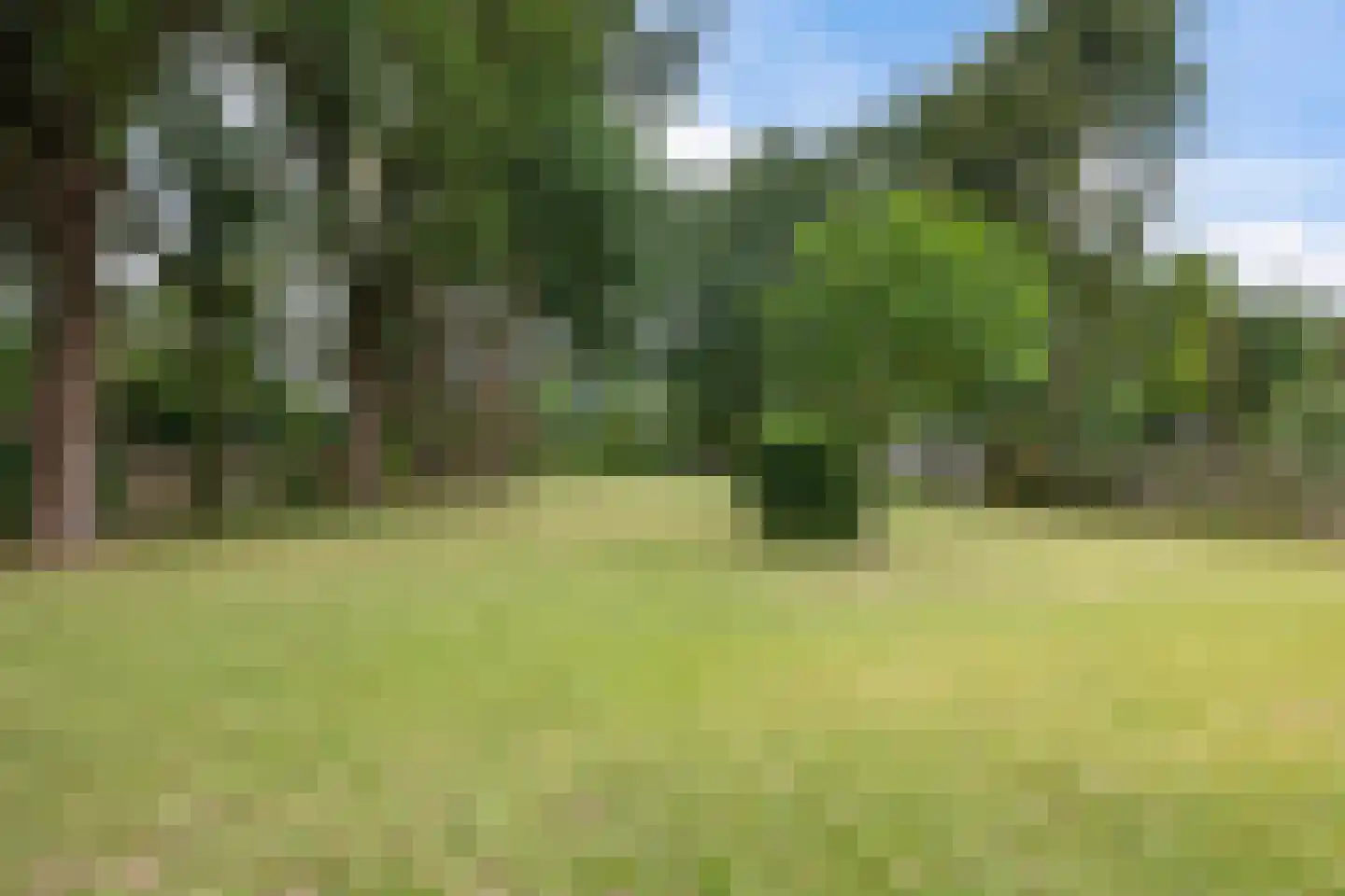 Zuiderdiep 36 Valthermond thumbnail 27