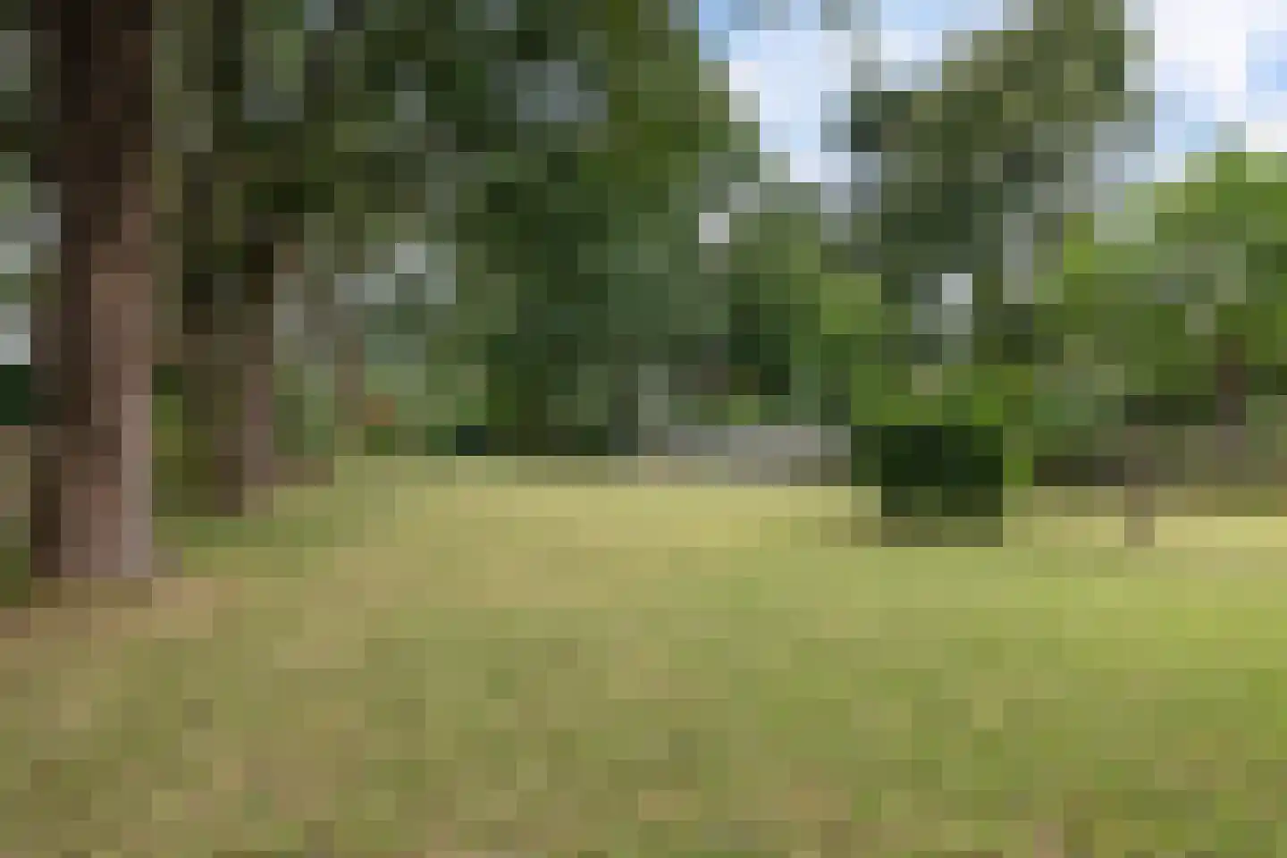 Zuiderdiep 36 Valthermond thumbnail 28