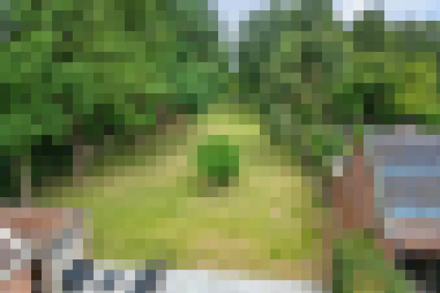 Zuiderdiep 36 Valthermond thumbnail 29