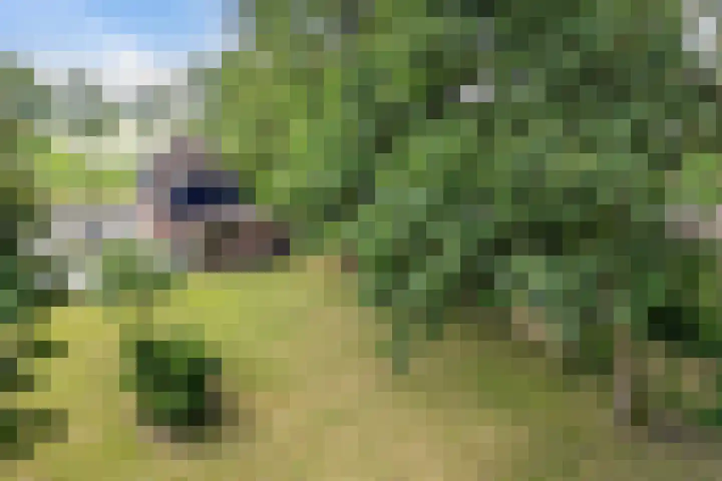 Zuiderdiep 36 Valthermond thumbnail 30