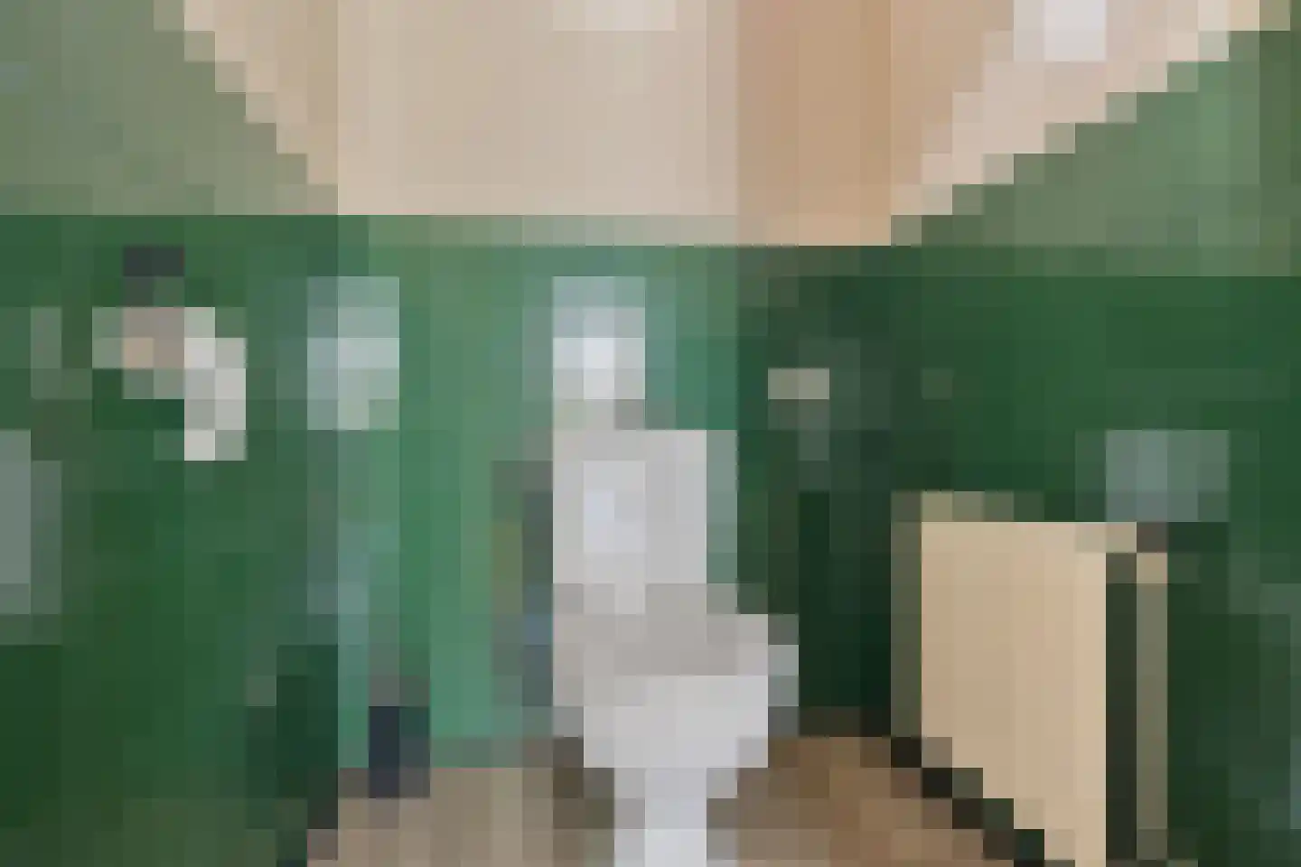 Zuiderdiep 36 Valthermond thumbnail 5