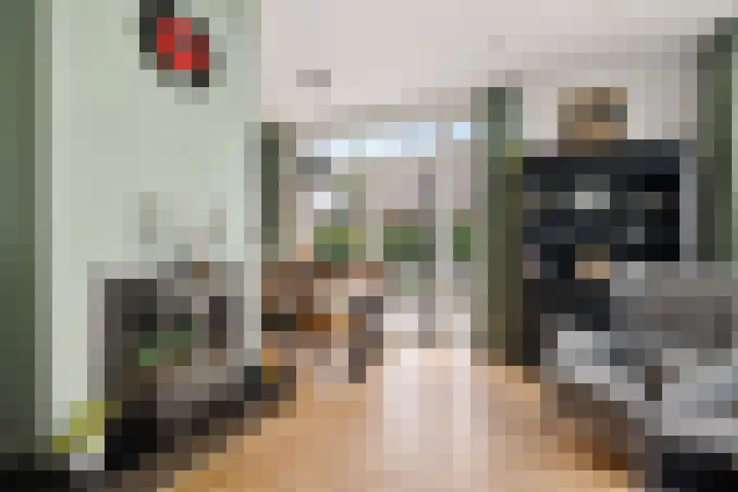Zuiderdiep 36 Valthermond thumbnail 8