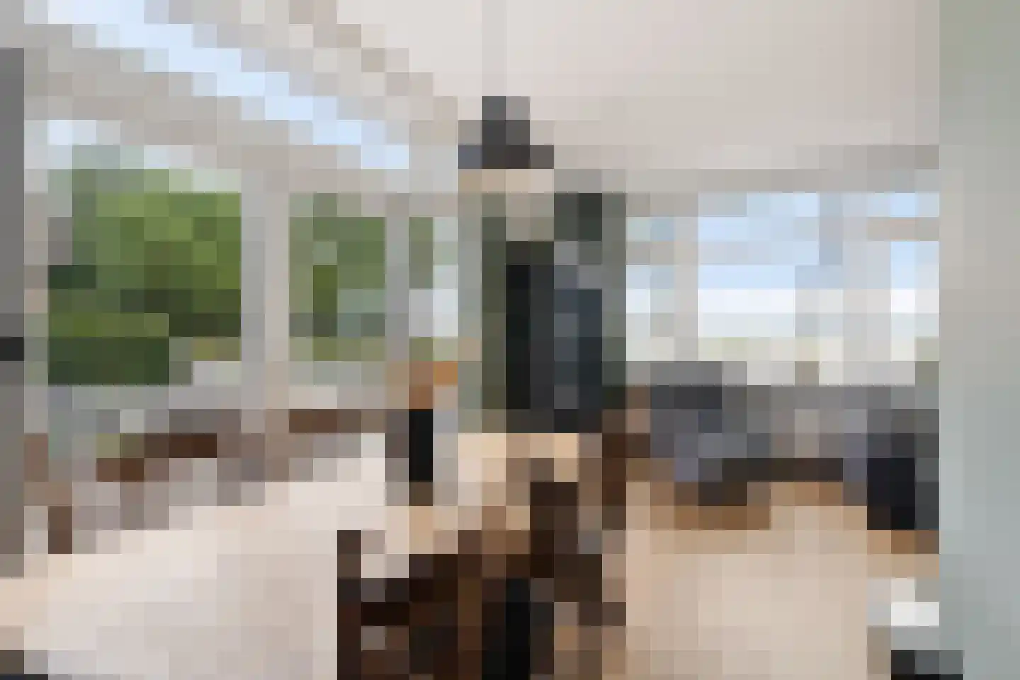 Zuiderdiep 36 Valthermond thumbnail 9