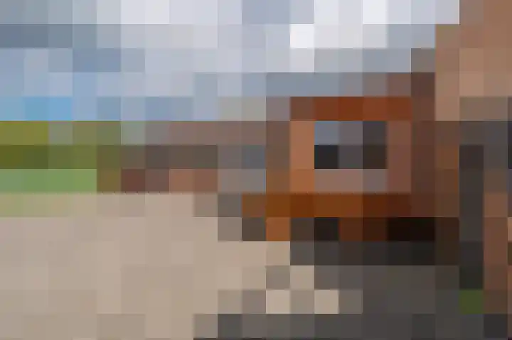 Zuiderdiep 371 Nieuw-Buinen thumbnail 11