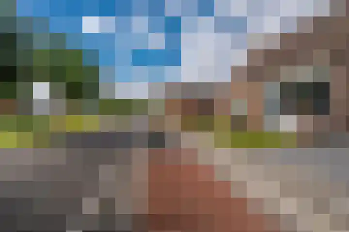 Zuiderdiep 371 Nieuw-Buinen thumbnail 17