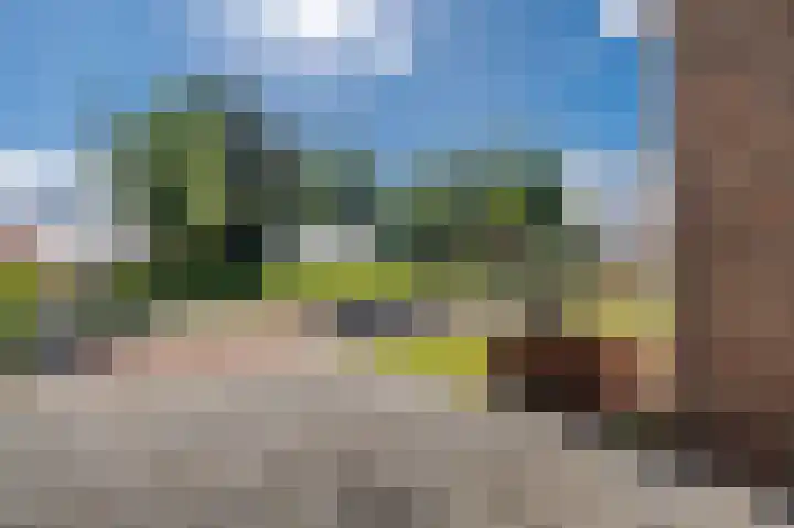 Zuiderdiep 371 Nieuw-Buinen thumbnail 18
