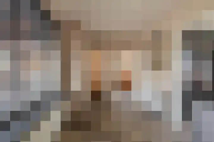 Zuiderdiep 371 Nieuw-Buinen thumbnail 31