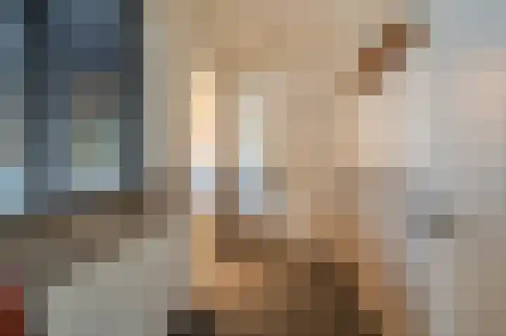 Zuiderdiep 371 Nieuw-Buinen thumbnail 36