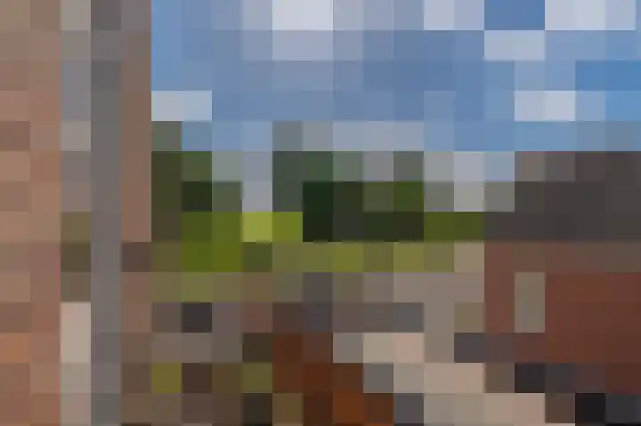 Zuiderdiep 371 Nieuw-Buinen thumbnail 52