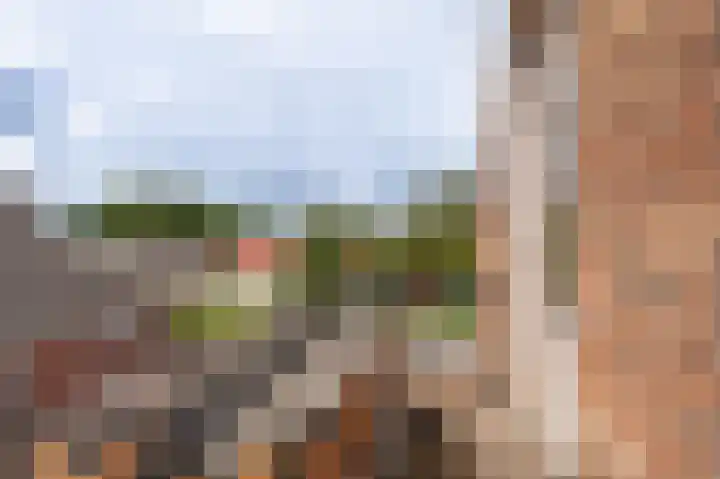 Zuiderdiep 371 Nieuw-Buinen thumbnail 53