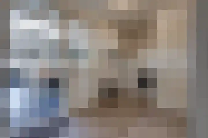 Zuiderdiep 394 2e Exloërmond thumbnail 14