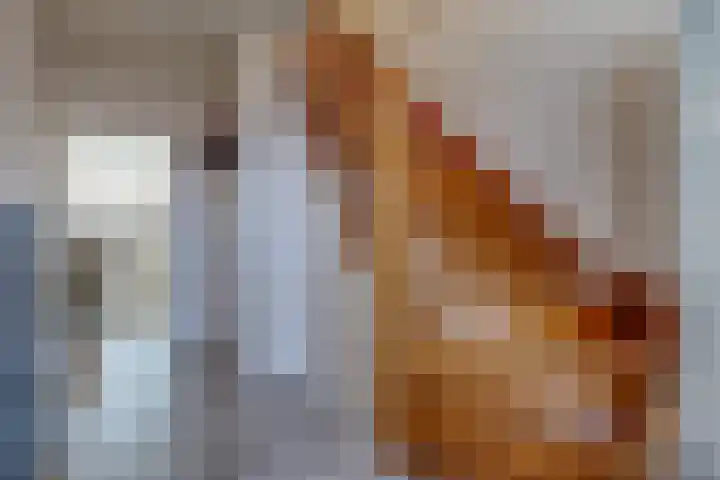 Zuiderdiep 394 2e Exloërmond thumbnail 20