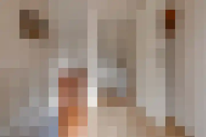 Zuiderdiep 394 2e Exloërmond thumbnail 21