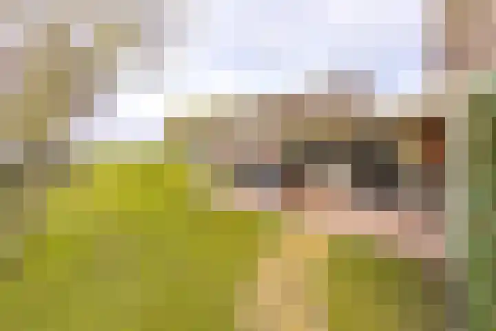 Zuiderdiep 394 2e Exloërmond thumbnail 31