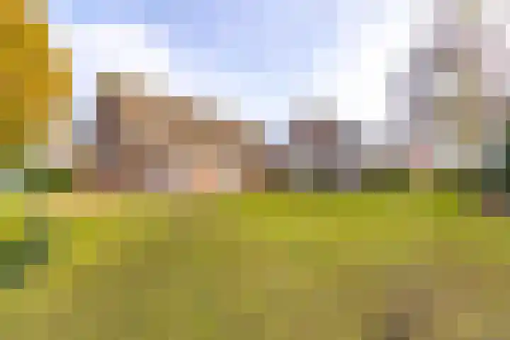 Zuiderdiep 394 2e Exloërmond thumbnail 34
