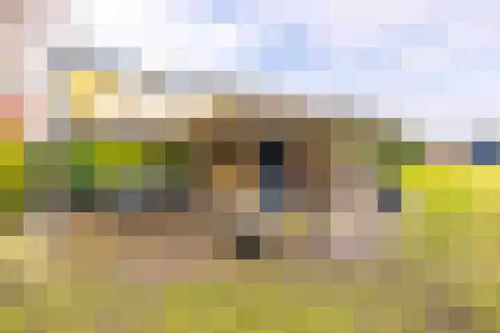 Zuiderdiep 394 2e Exloërmond thumbnail 35