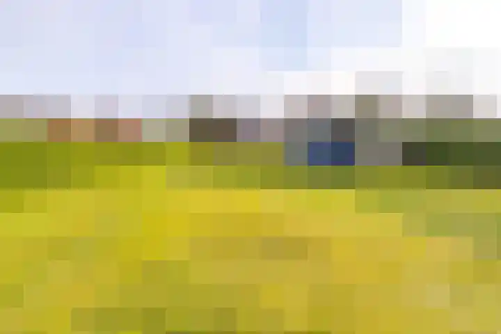 Zuiderdiep 394 2e Exloërmond thumbnail 37