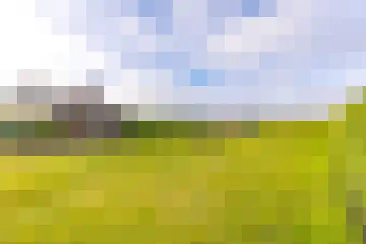 Zuiderdiep 394 2e Exloërmond thumbnail 38