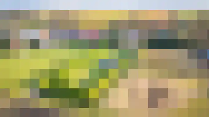 Zuiderdiep 394 2e Exloërmond thumbnail 42