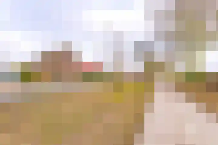 Zuiderdiep 394 2e Exloërmond thumbnail 43
