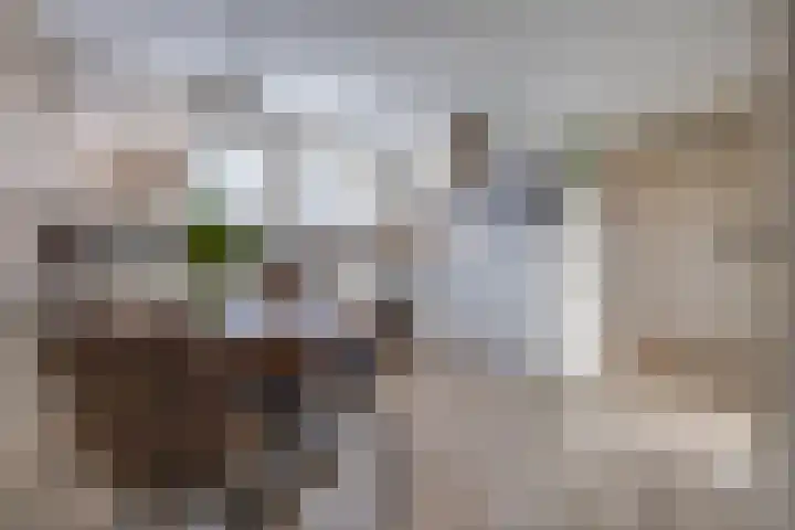 Zuiderdiep 394 2e Exloërmond thumbnail 7