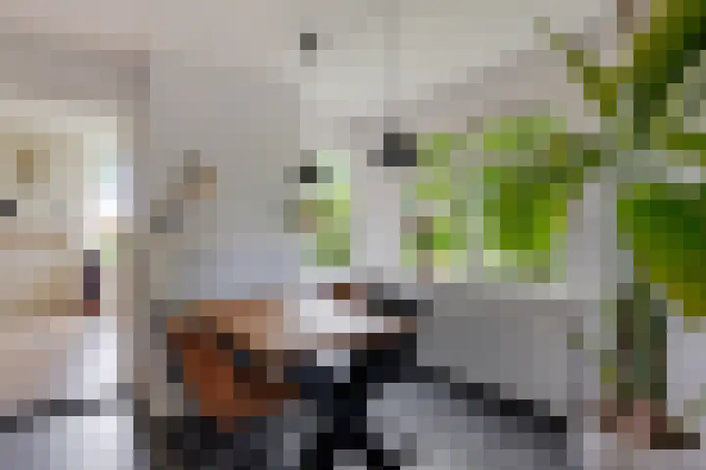 Zuiderdiep 399 2e Exloërmond thumbnail 13