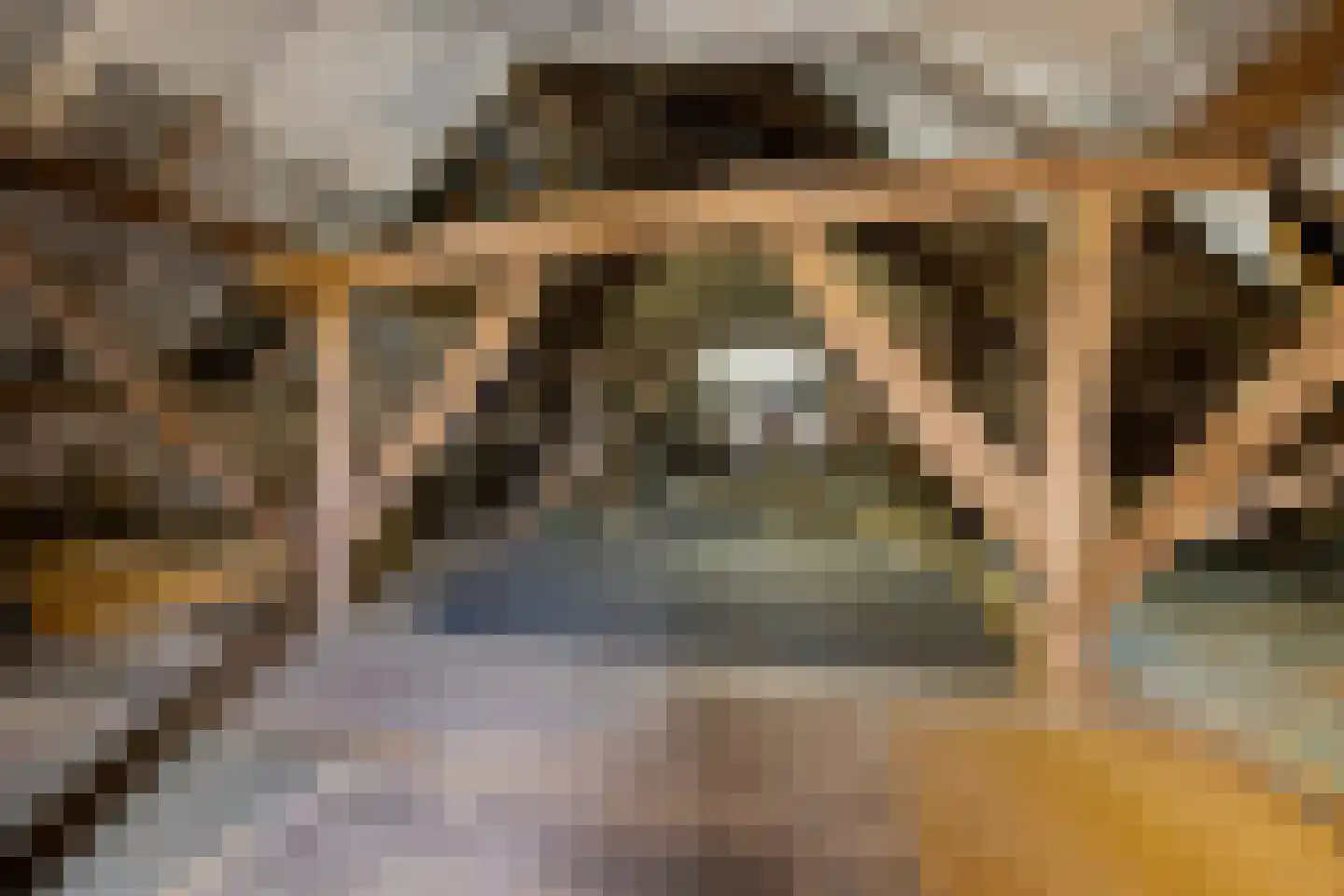 Zuiderdiep 399 2e Exloërmond thumbnail 26