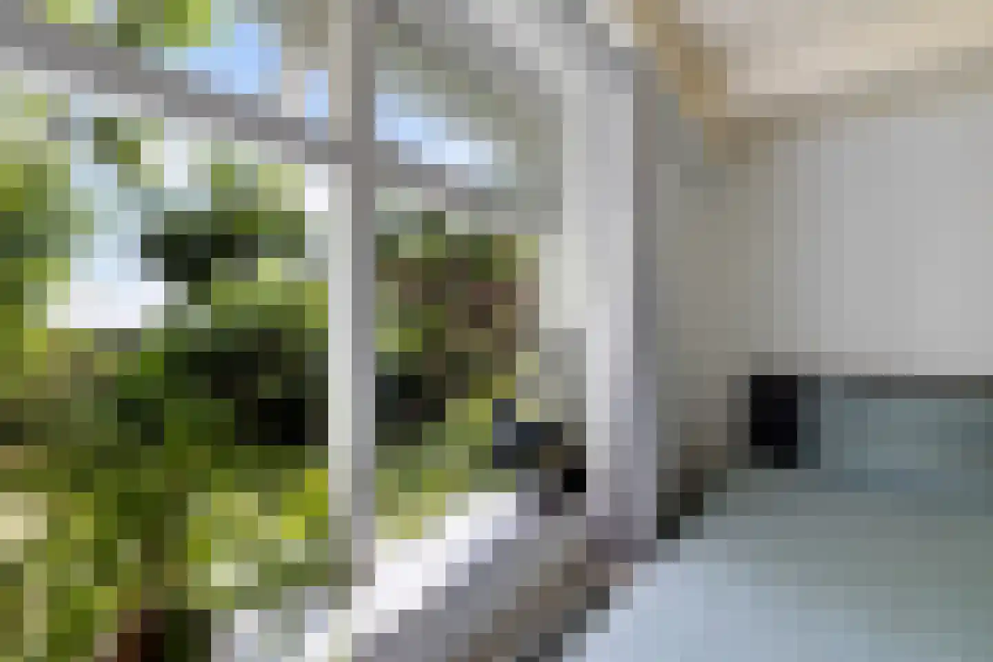 Zuiderdiep 399 2e Exloërmond thumbnail 34