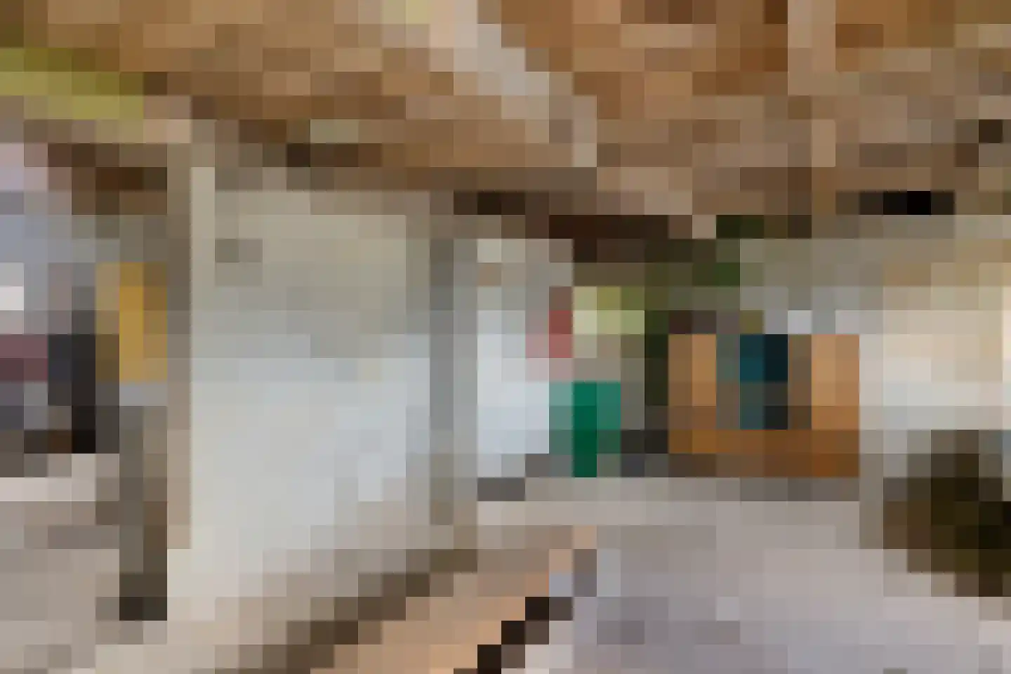 Zuiderdiep 399 2e Exloërmond thumbnail 36