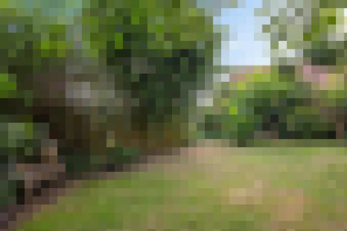 Zuiderdiep 399 2e Exloërmond thumbnail 39
