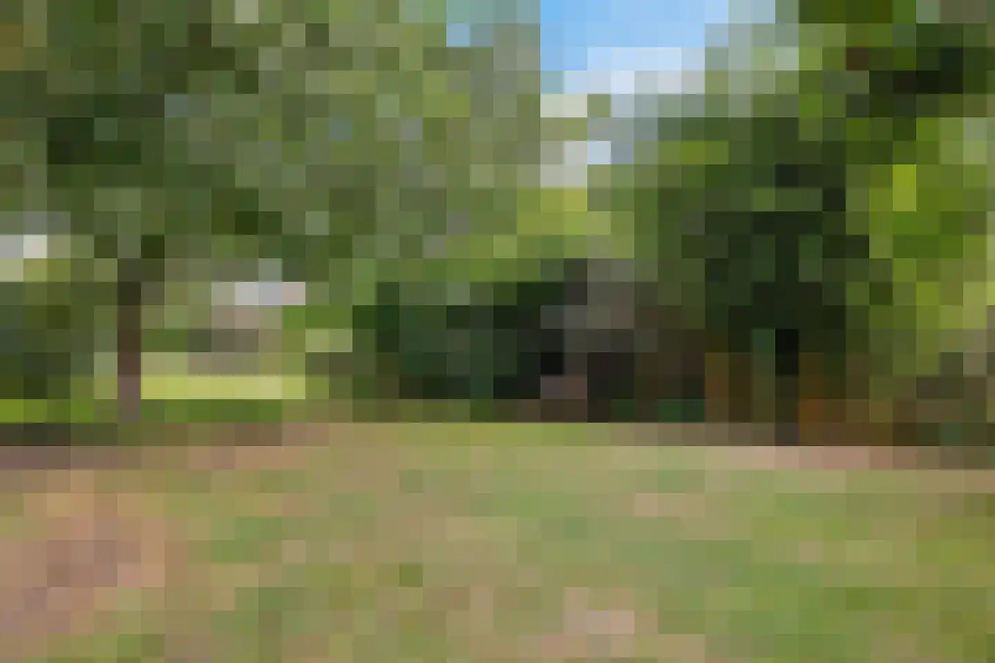 Zuiderdiep 399 2e Exloërmond thumbnail 41