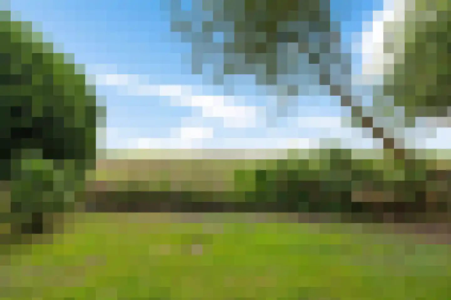 Zuiderdiep 399 2e Exloërmond thumbnail 43