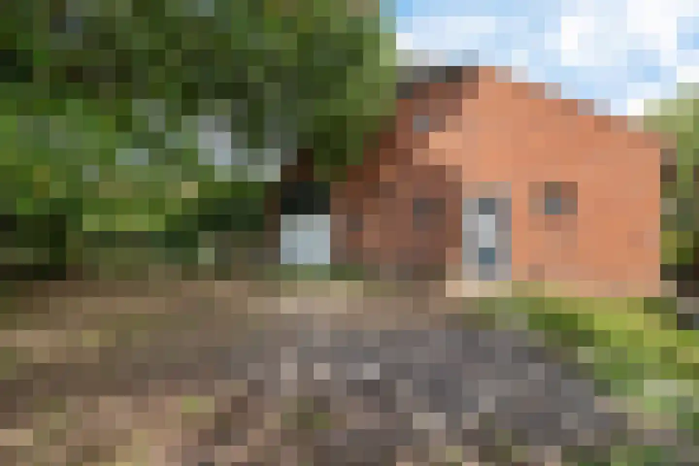 Zuiderdiep 399 2e Exloërmond thumbnail 45