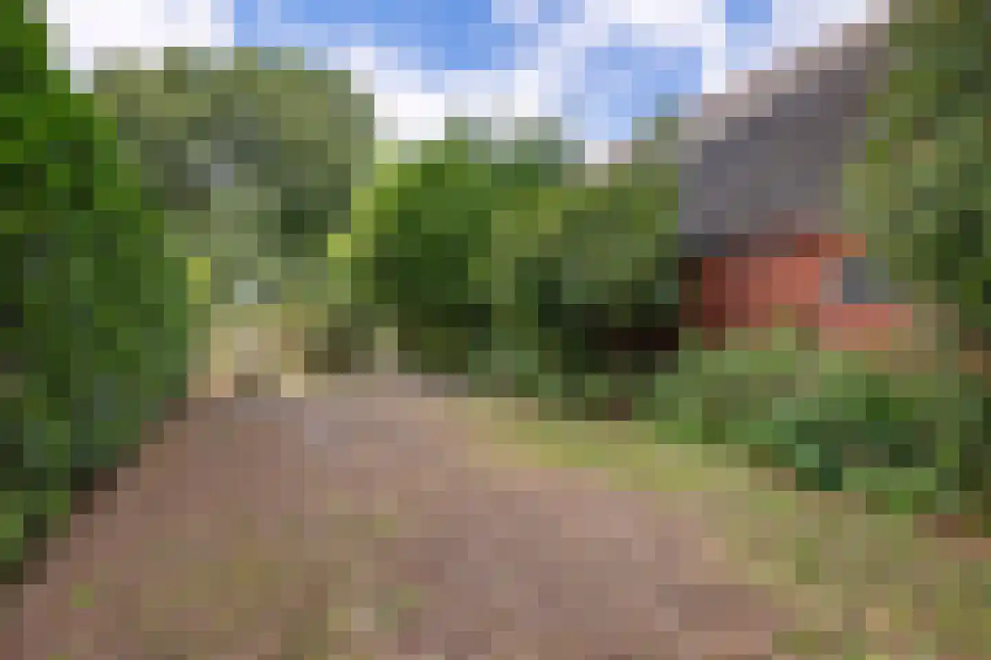 Zuiderdiep 399 2e Exloërmond thumbnail 46