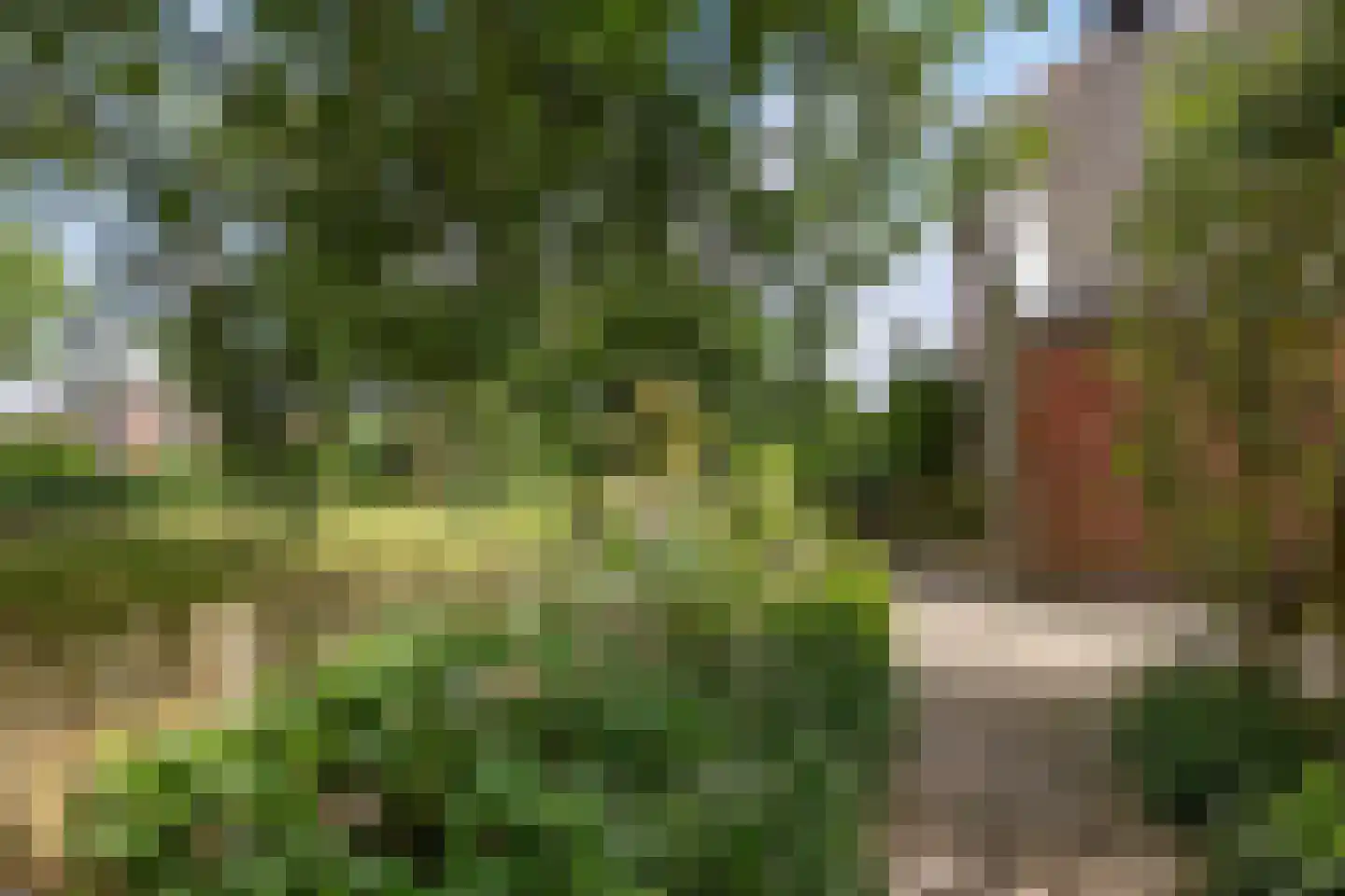 Zuiderdiep 399 2e Exloërmond thumbnail 48