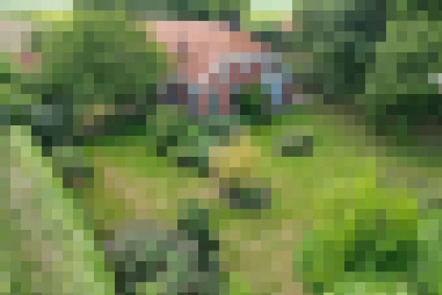 Zuiderdiep 399 2e Exloërmond thumbnail 6