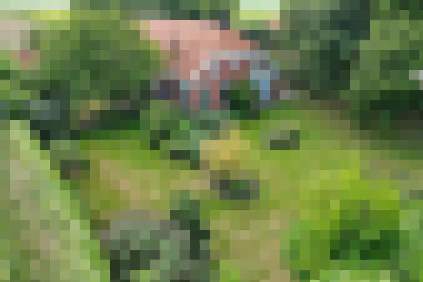 Zuiderdiep 399 2e Exloërmond thumbnail 6