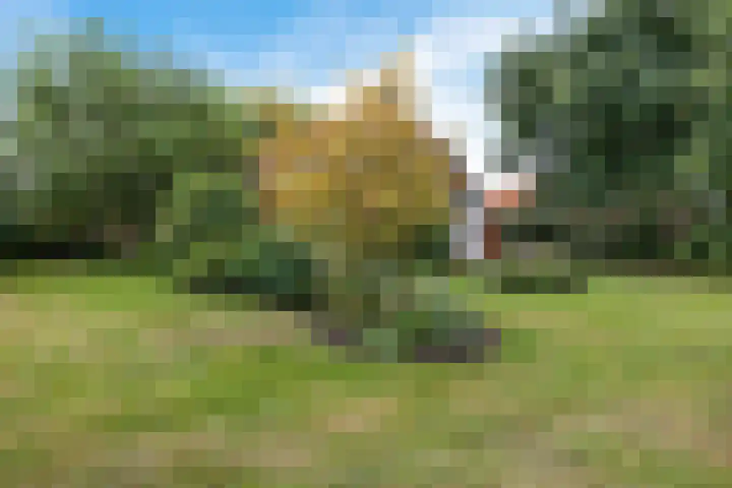Zuiderdiep 399 2e Exloërmond thumbnail 9