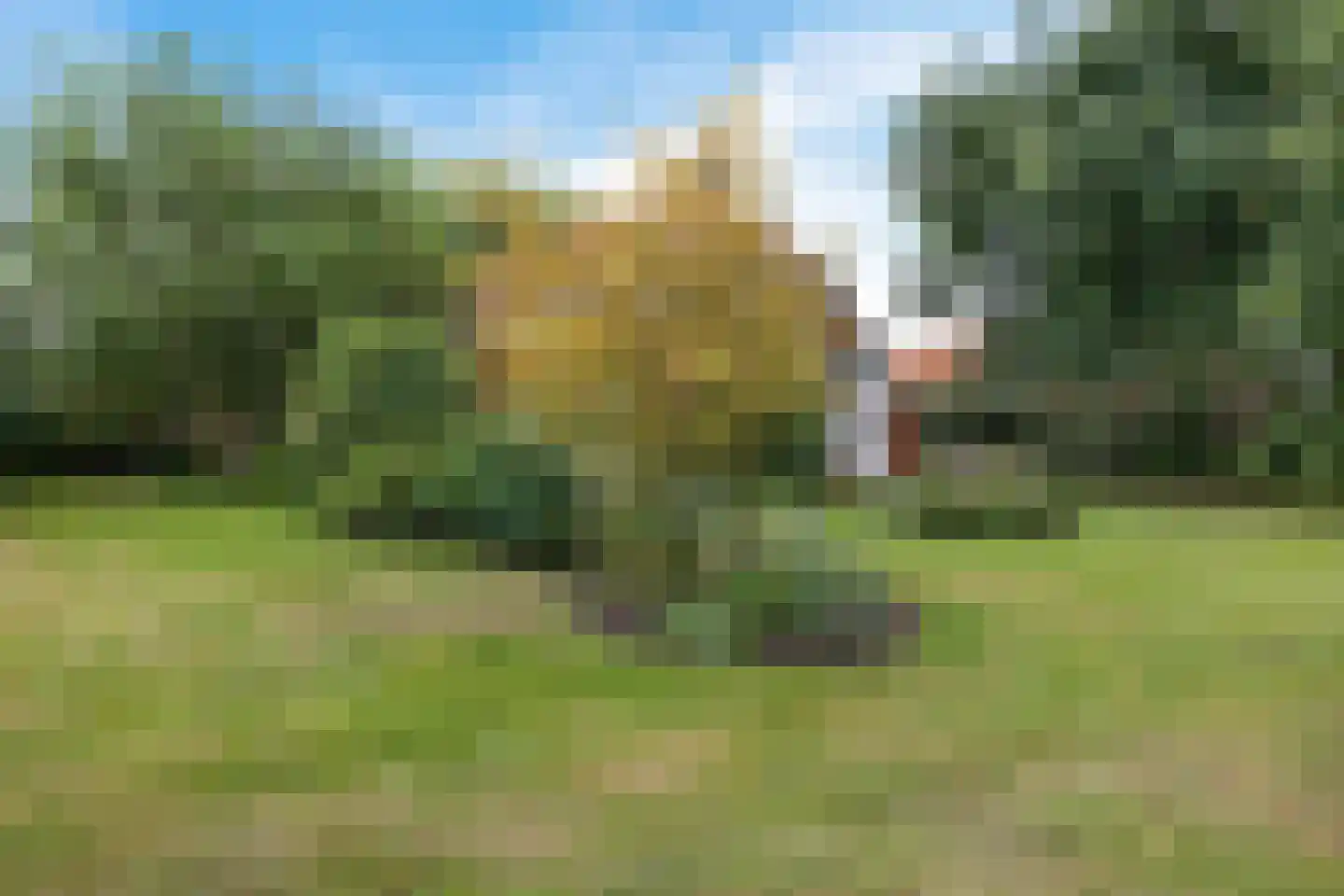 Zuiderdiep 399 2e Exloërmond thumbnail 9