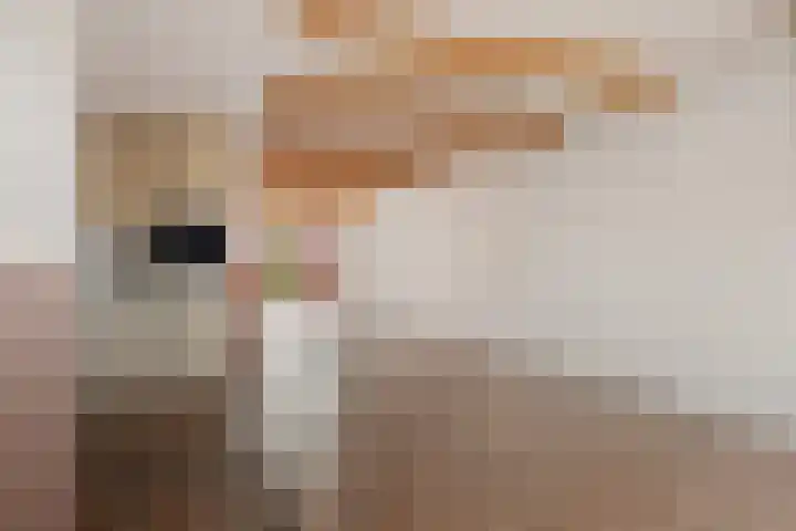 Zuiderdiep 399 Valthermond thumbnail 11