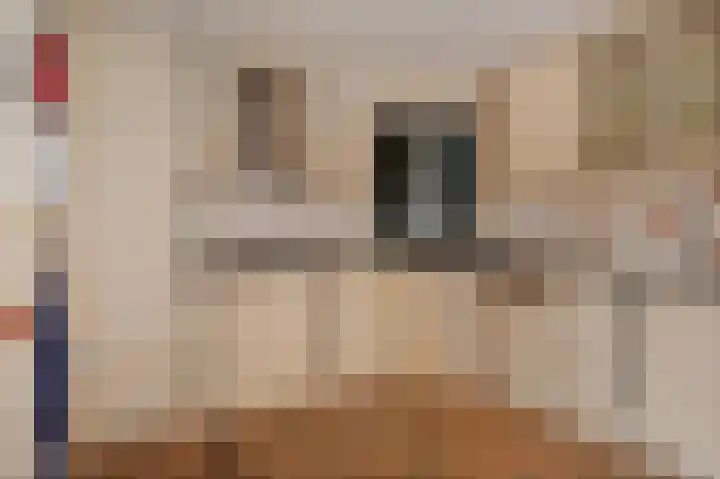 Zuiderdiep 399 Valthermond thumbnail 13