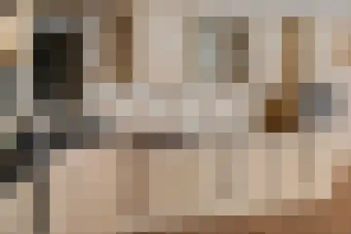 Zuiderdiep 399 Valthermond thumbnail 14