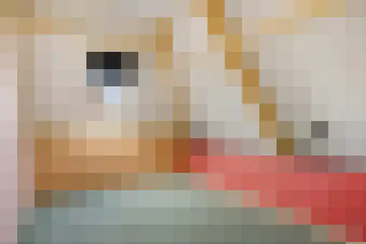 Zuiderdiep 399 Valthermond thumbnail 38